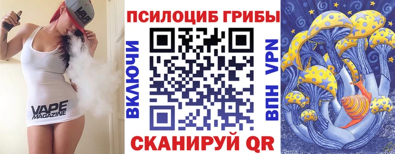 MEGA ТОР Райчихинск Псилоцибиновые грибы мицелий маркетплейс формула где найти наркотики