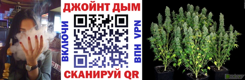 где купить наркоту  Райчихинск  MEGA ONION  МАРИХУАНА OG Kush 
